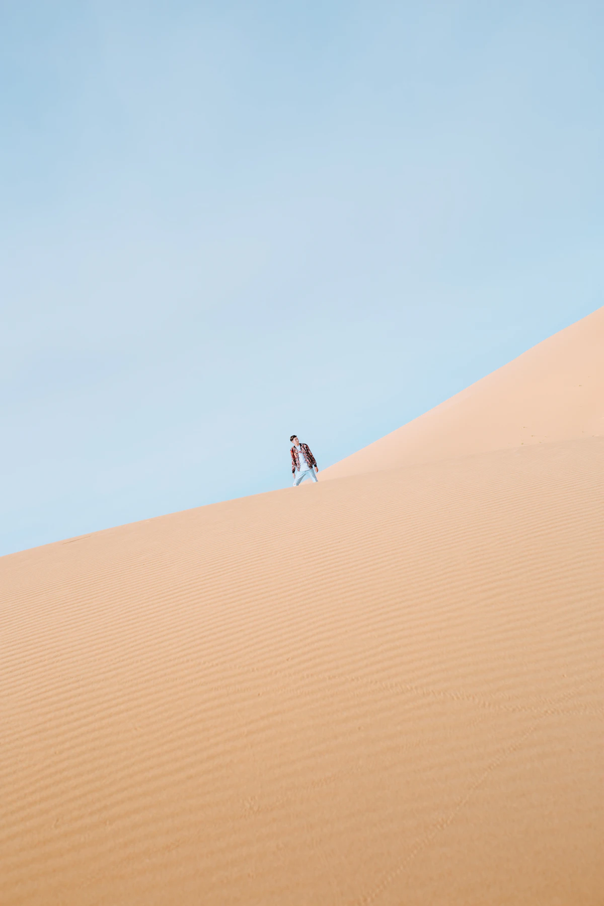 Sand dunes of the Mongolian desert stretching toward the horizon under an open sky