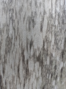 Pine Soft Matte