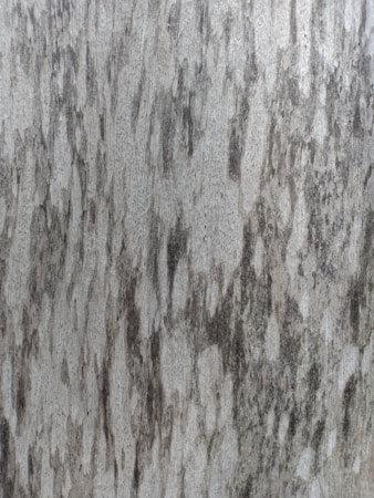 A close-up view of a textured surface featuring a pattern resembling wood grain with an uneven distribution of light and dark patches. The surface has a naturally weathered appearance with subtle color variations that suggest a rustic and organic quality.