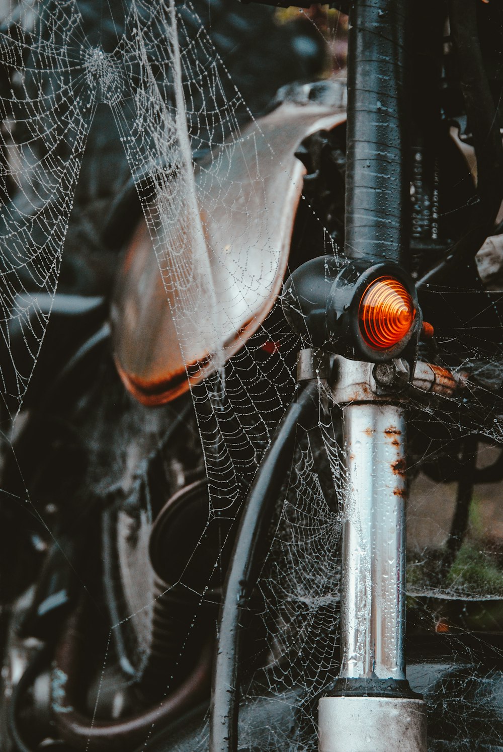 cobwebs on motorcycle