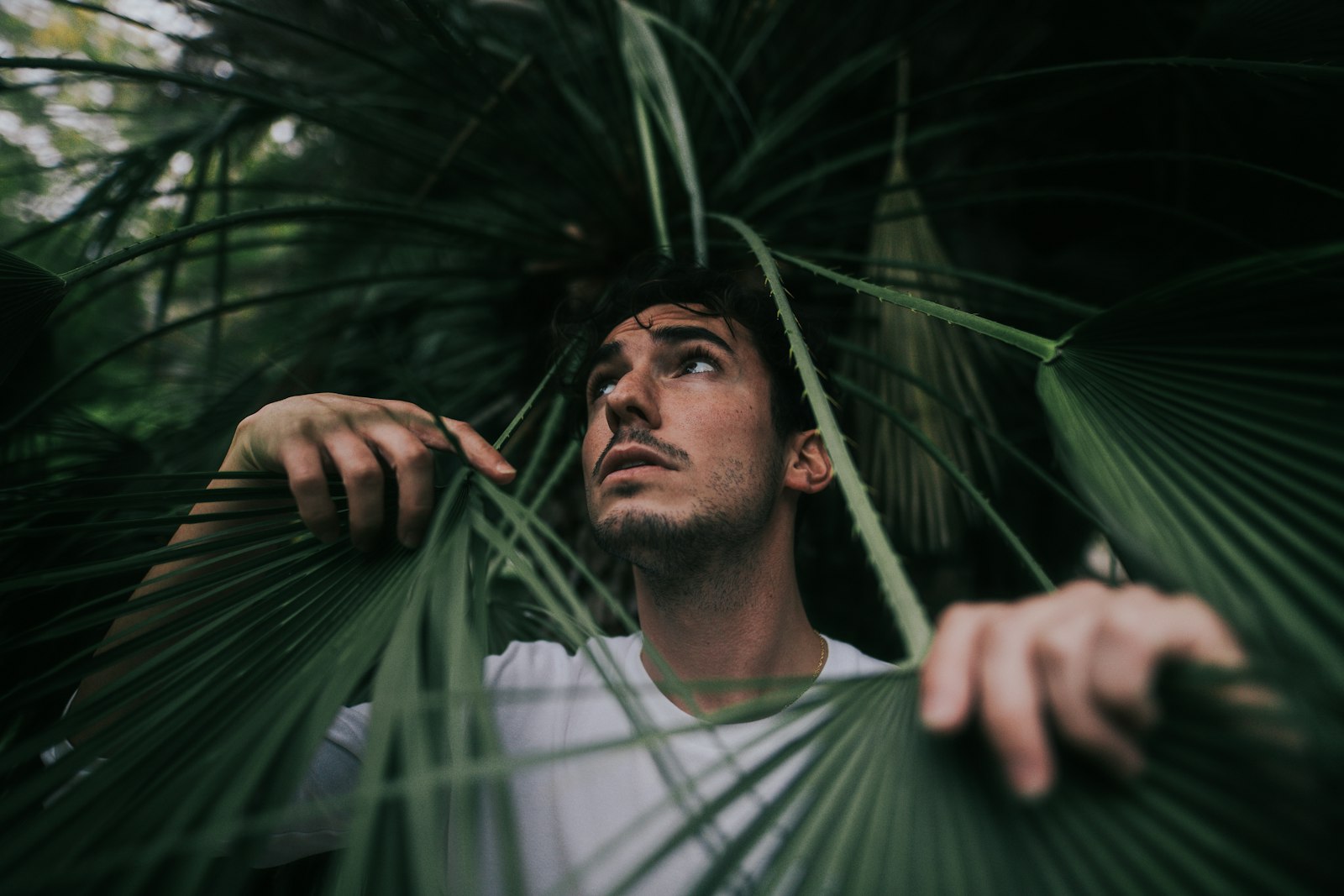 Canon EOS 6D Mark II + Sigma 20mm F1.4 DG HSM Art sample photo. Man holding green leafed photography