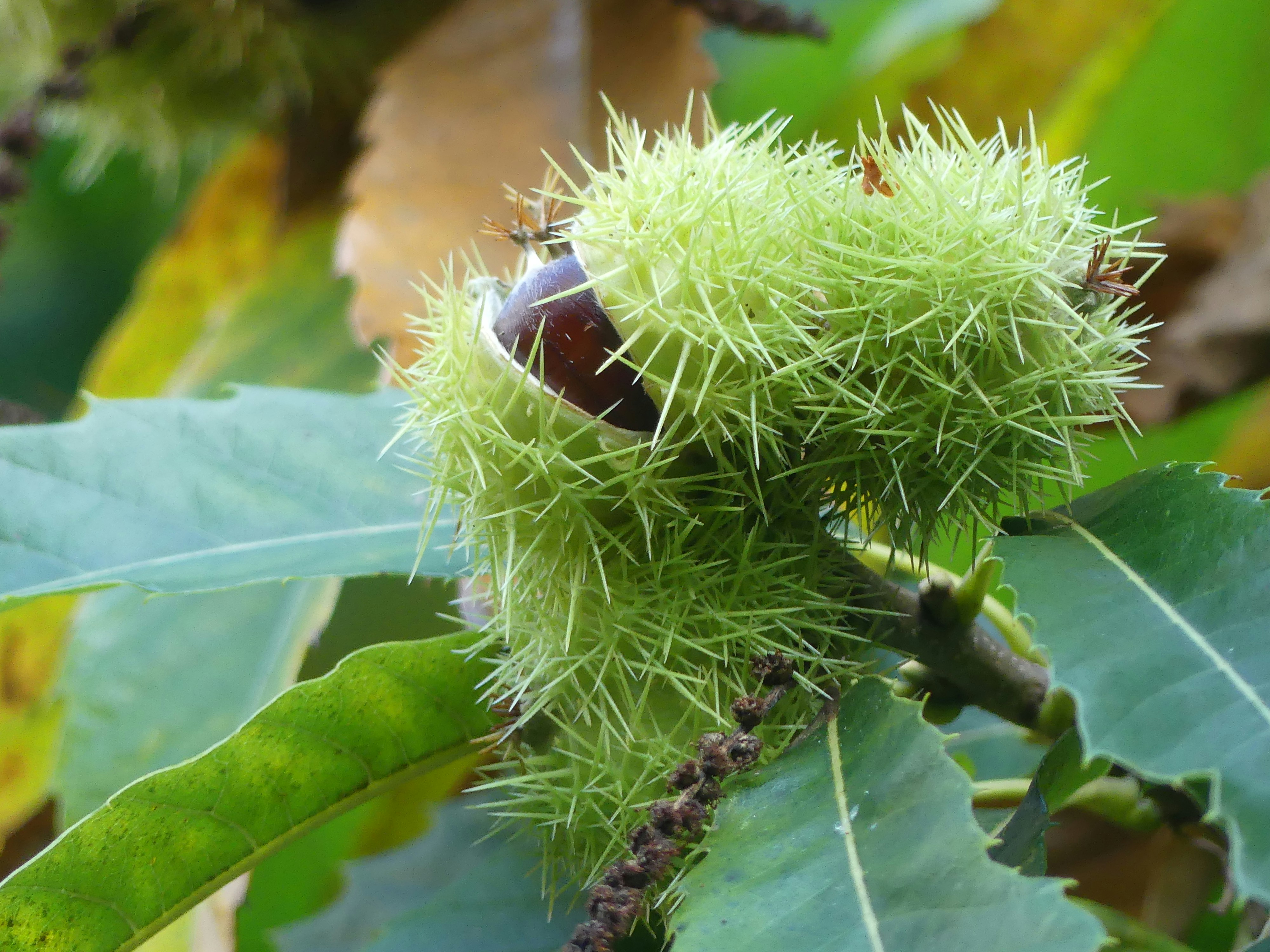 Photo by david_stoneman