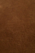 Detailed shot of premium natural leather surface with fine grain and stitching.