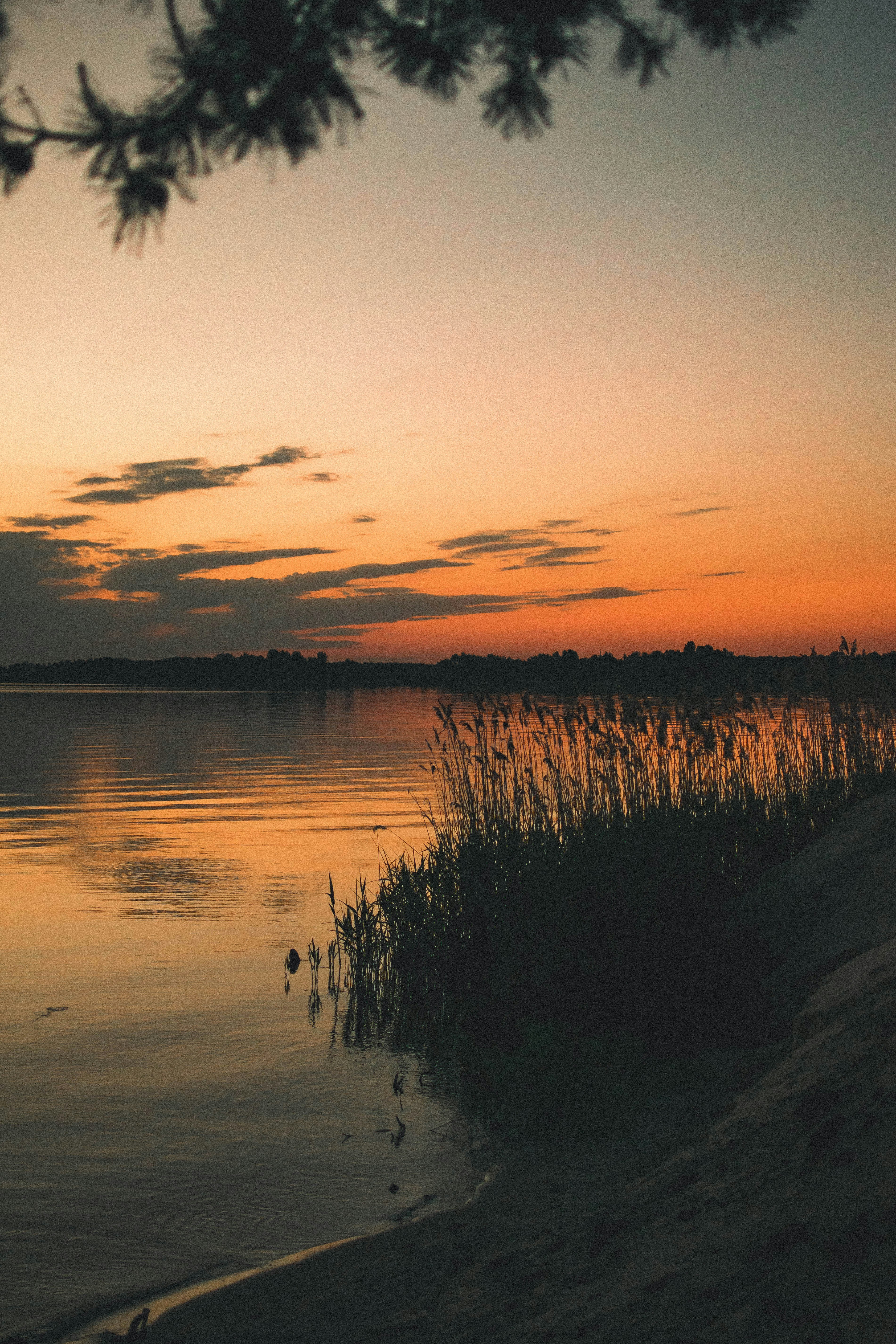 Photo by romanivna13