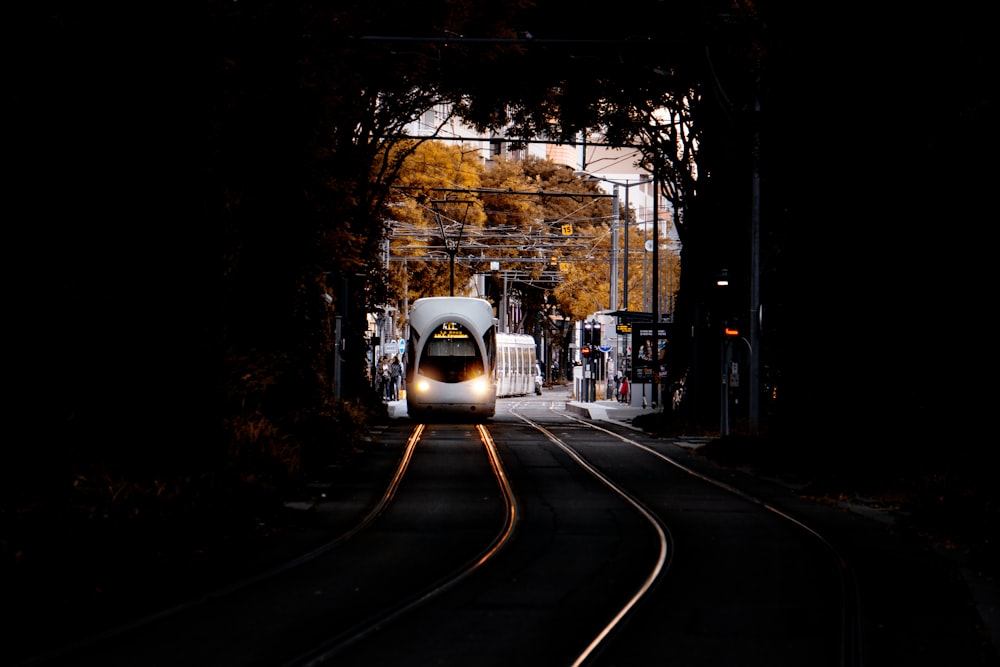 white and black train surrounded with tall and green trees about to enter in cave