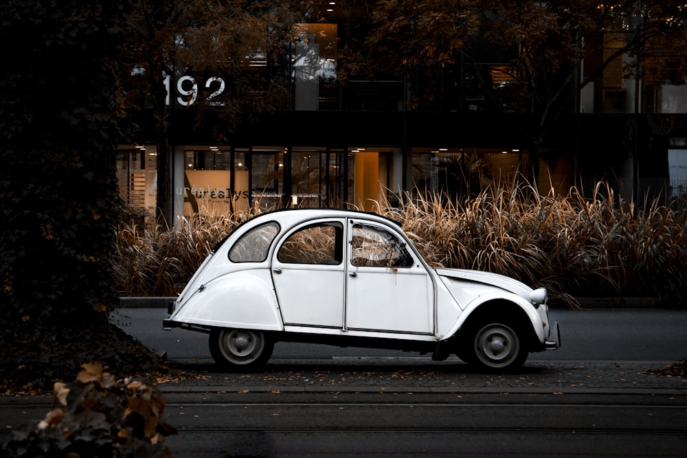 white Volkswagen Beetle near road