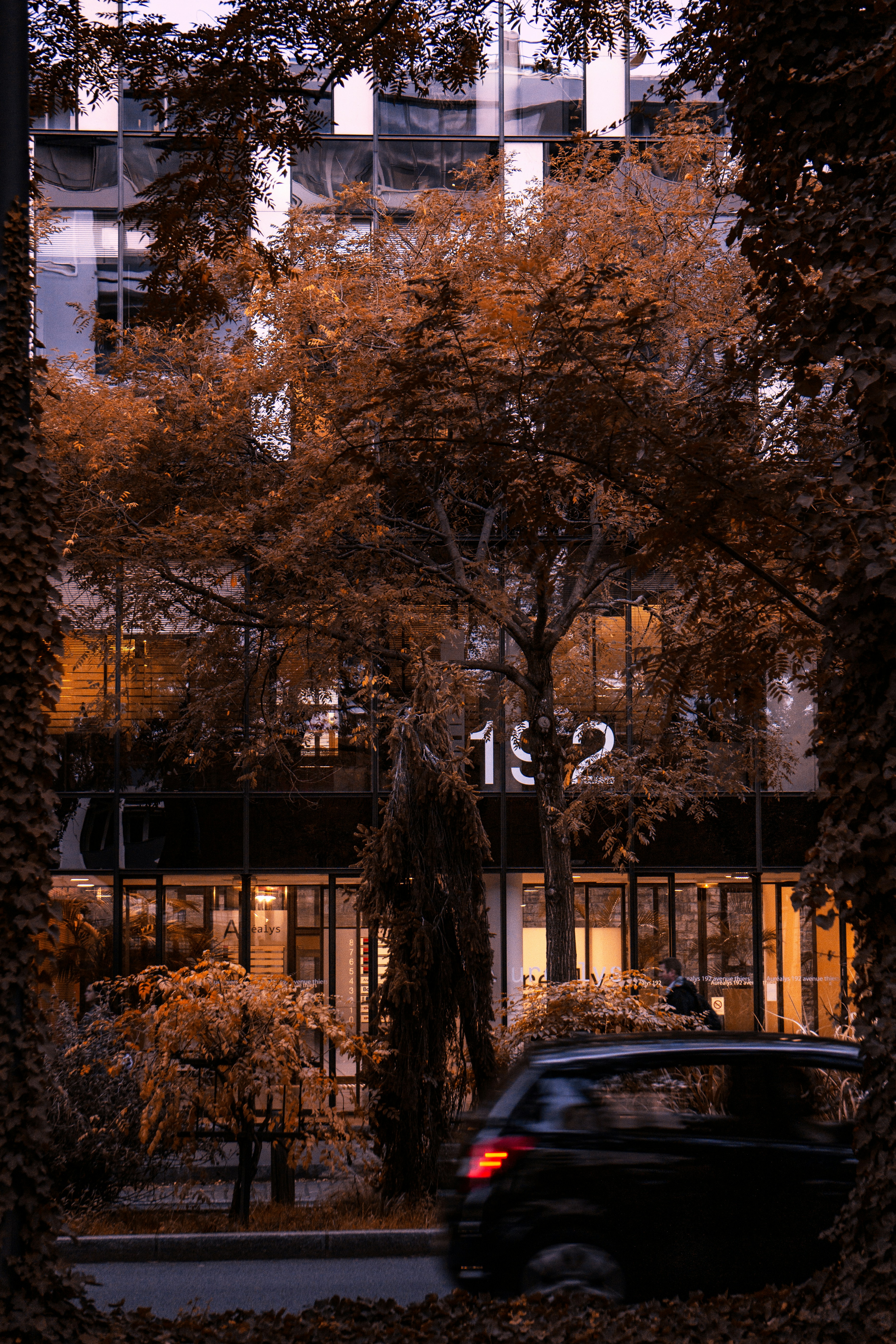 autumn business