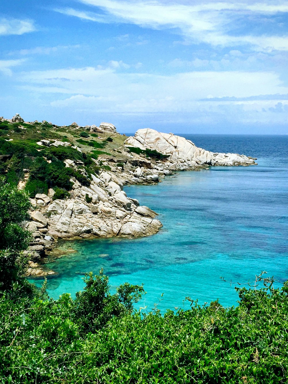 white rocky seashore with green vegetation during daytime