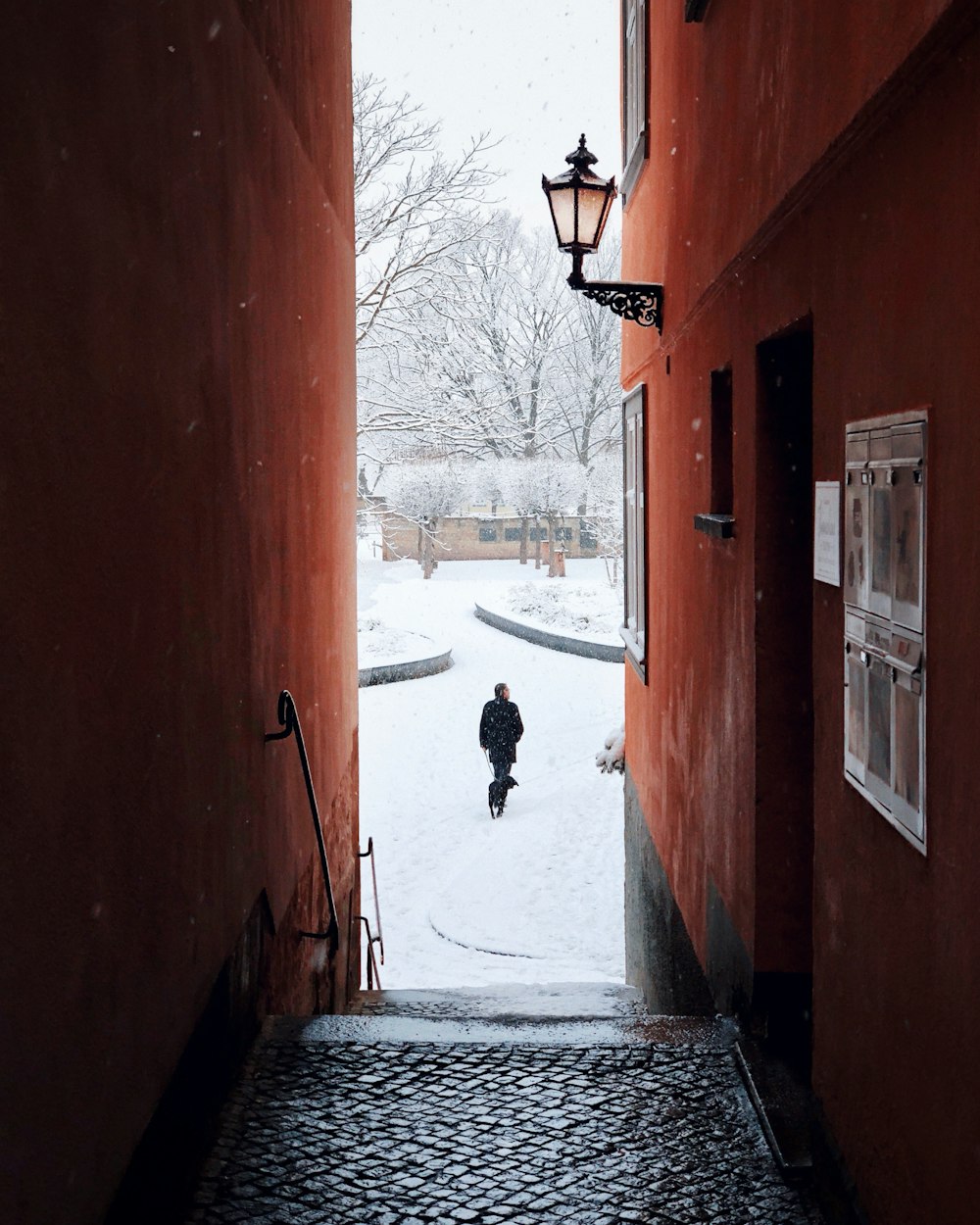 Person auf dem Schneefeld durch Gebäude während des Tages