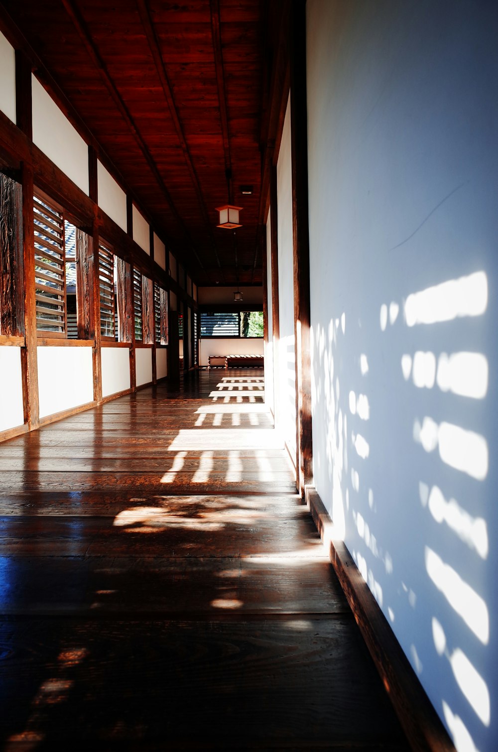 brown and white wooden pathway