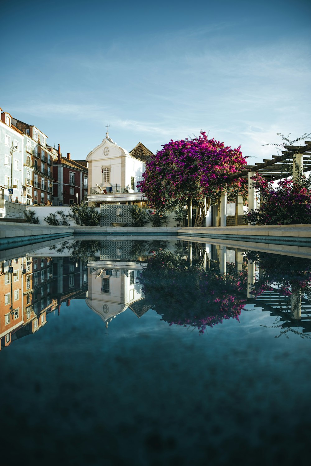 árvore de folha cor-de-rosa perto da casa