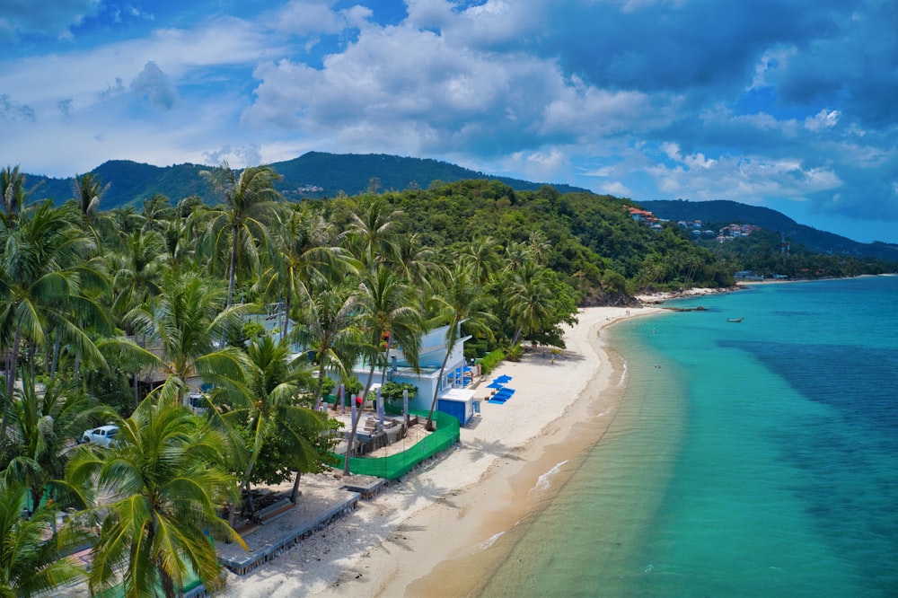 an aerial view of a beach with palm trees