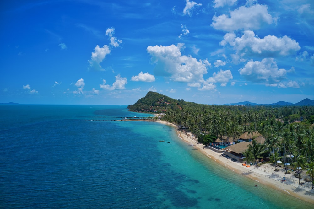 an aerial view of a beach with palm trees