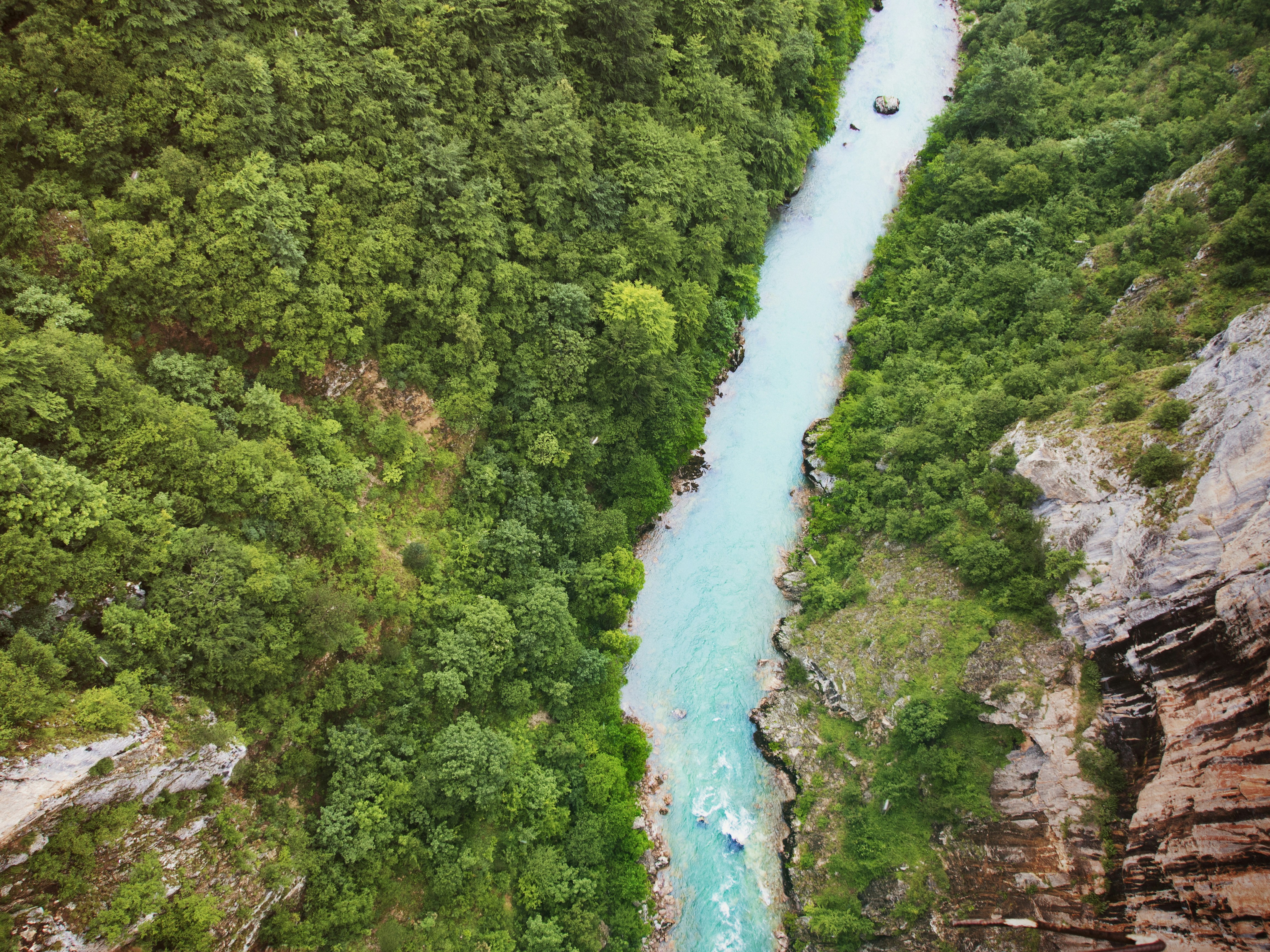 a river flowing through a lush green forest, Aerial photo of a river