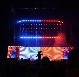 a concert scene with a person on a stage