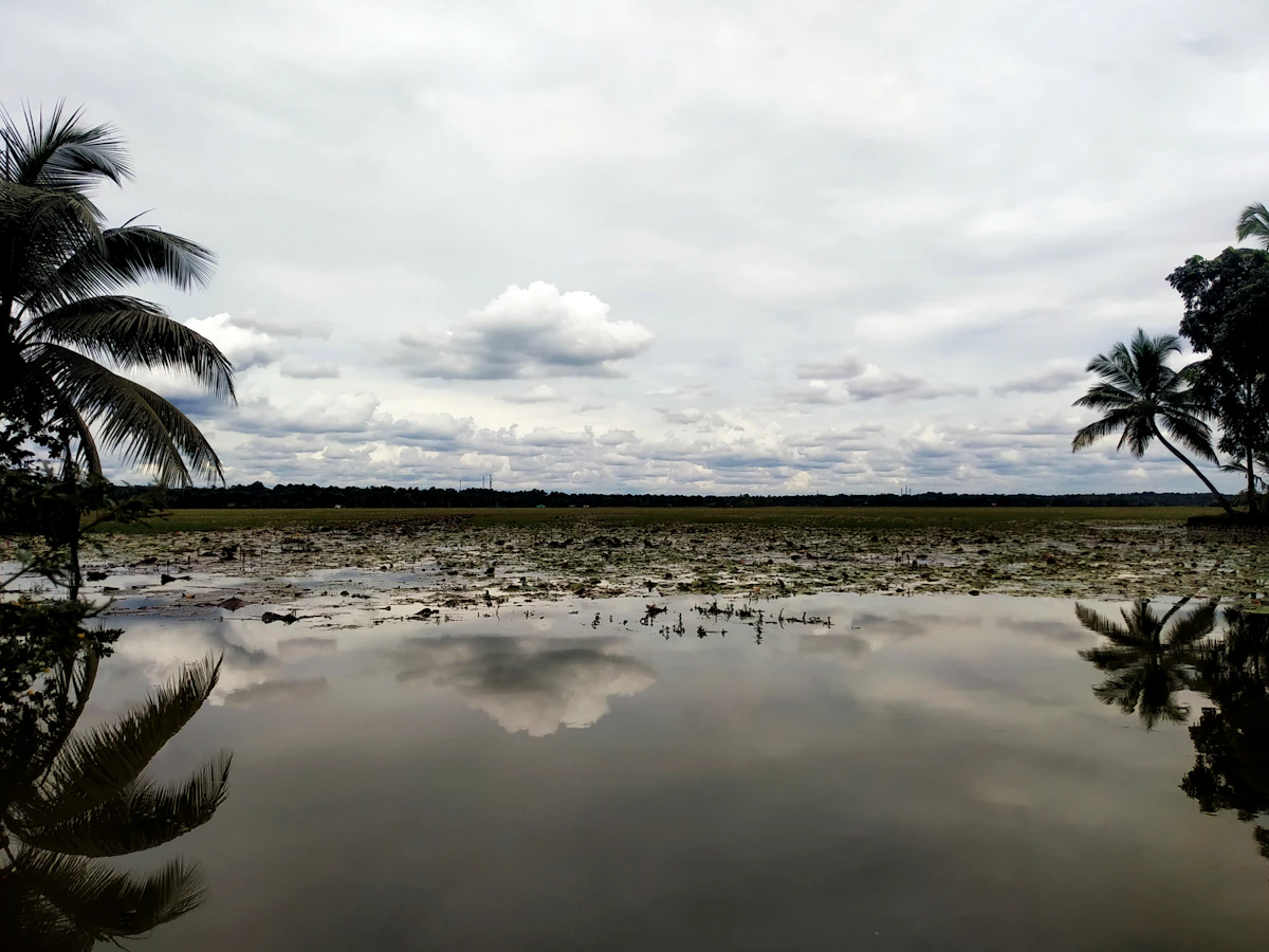 KOTTAYAM