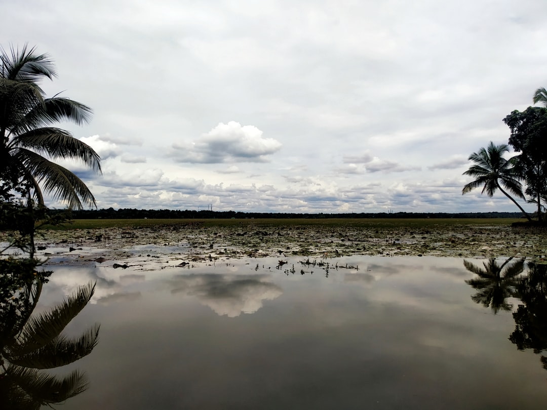 Tropics photo spot Kottayam Kerala Backwaters