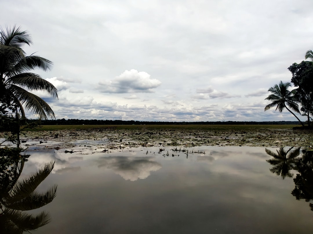 Tropics photo spot Kottayam Alappuzha