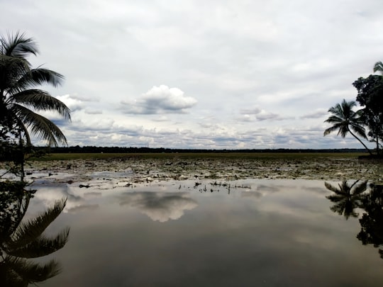 photo of Kottayam Tropics near Kerala Backwaters