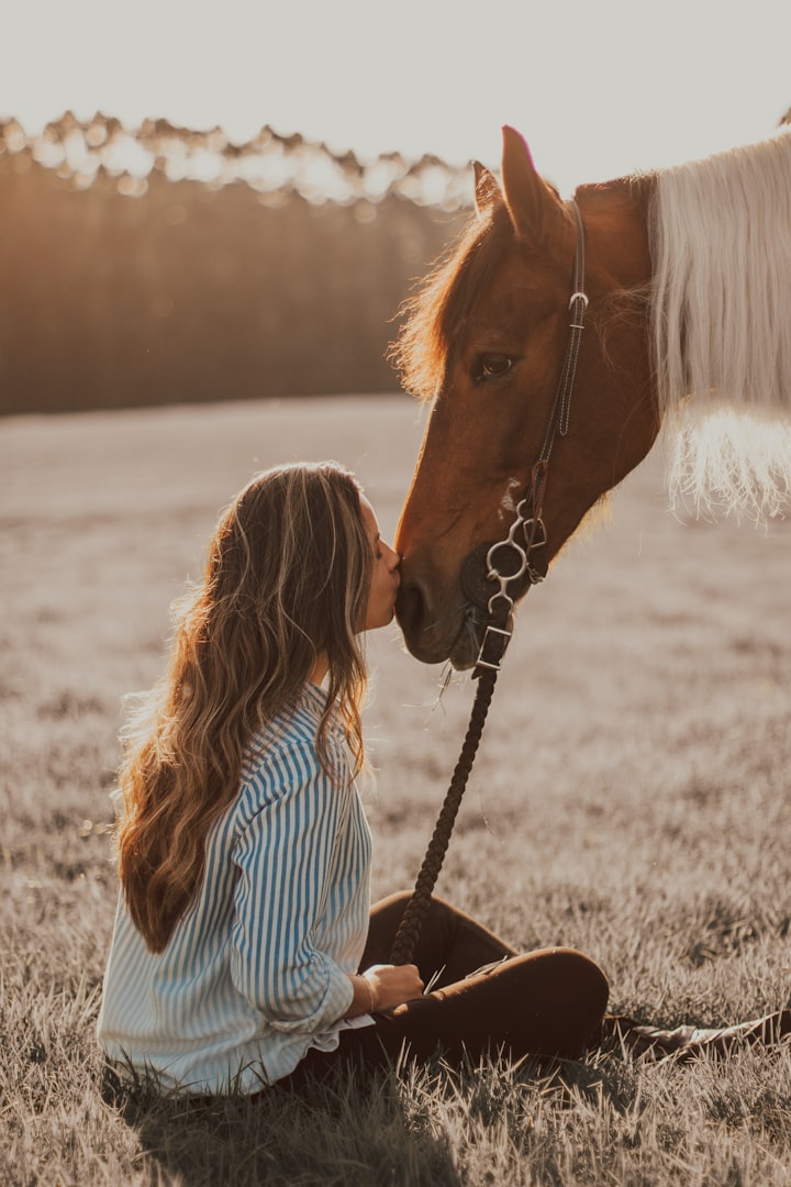 The Unbreakable Bond: The Love Between Horses and Humans