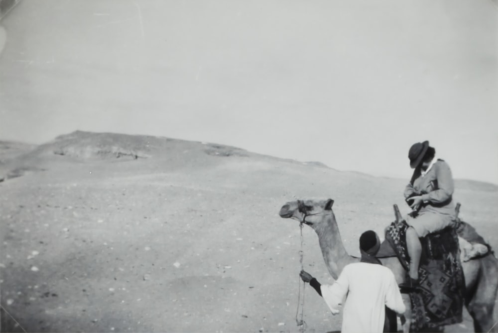 woman riding camel