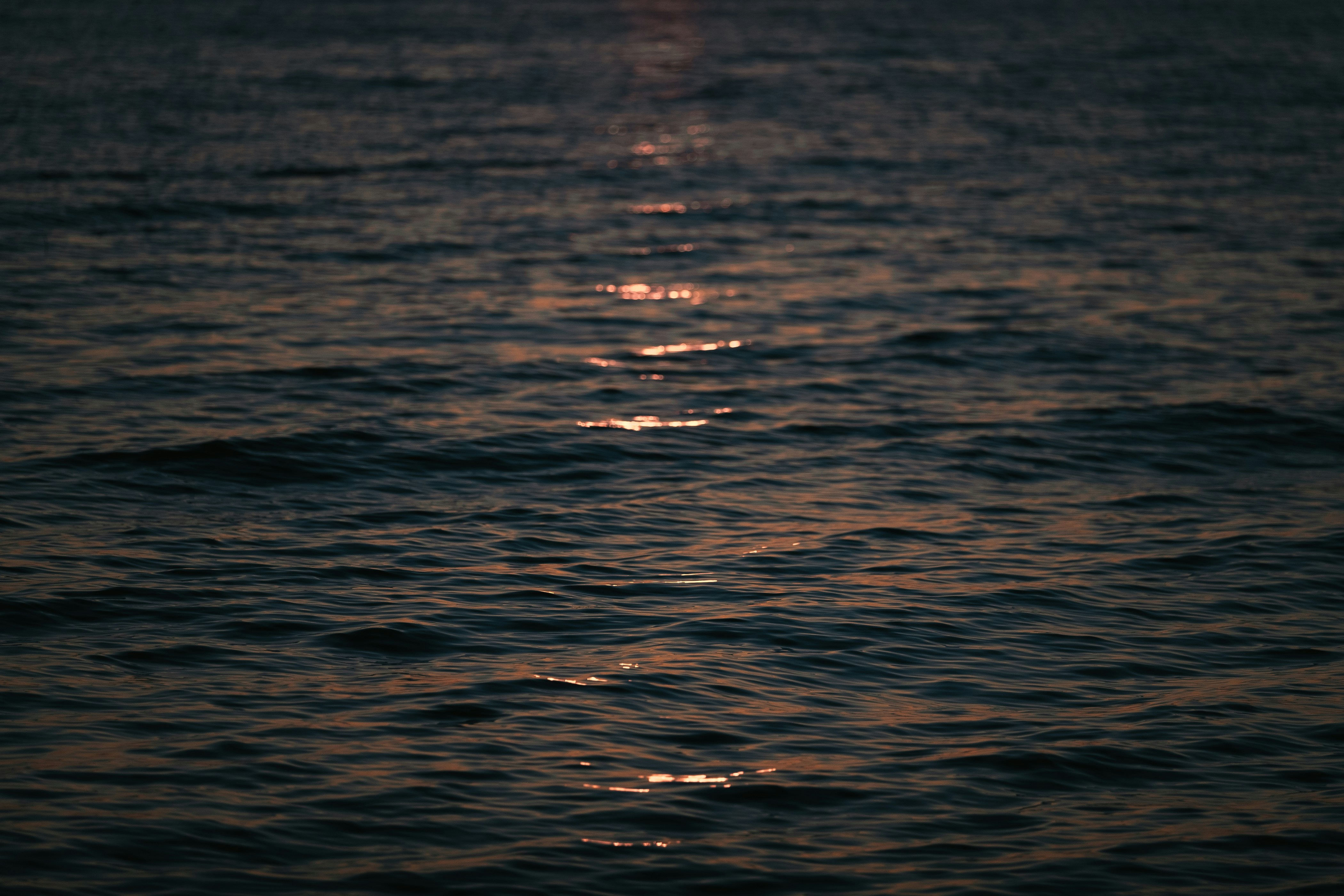 Photo by itsmattgates