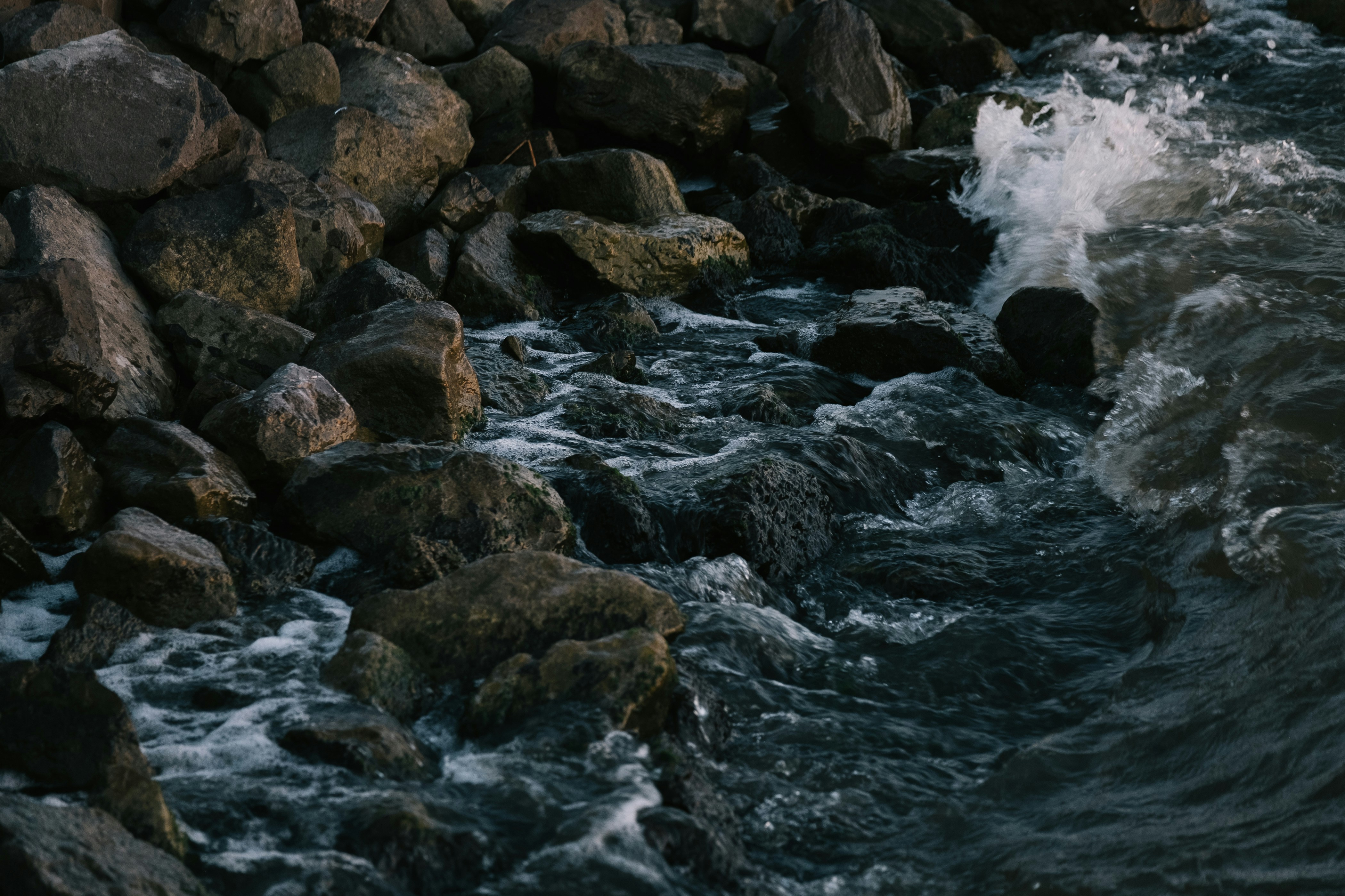 Photo by itsmattgates