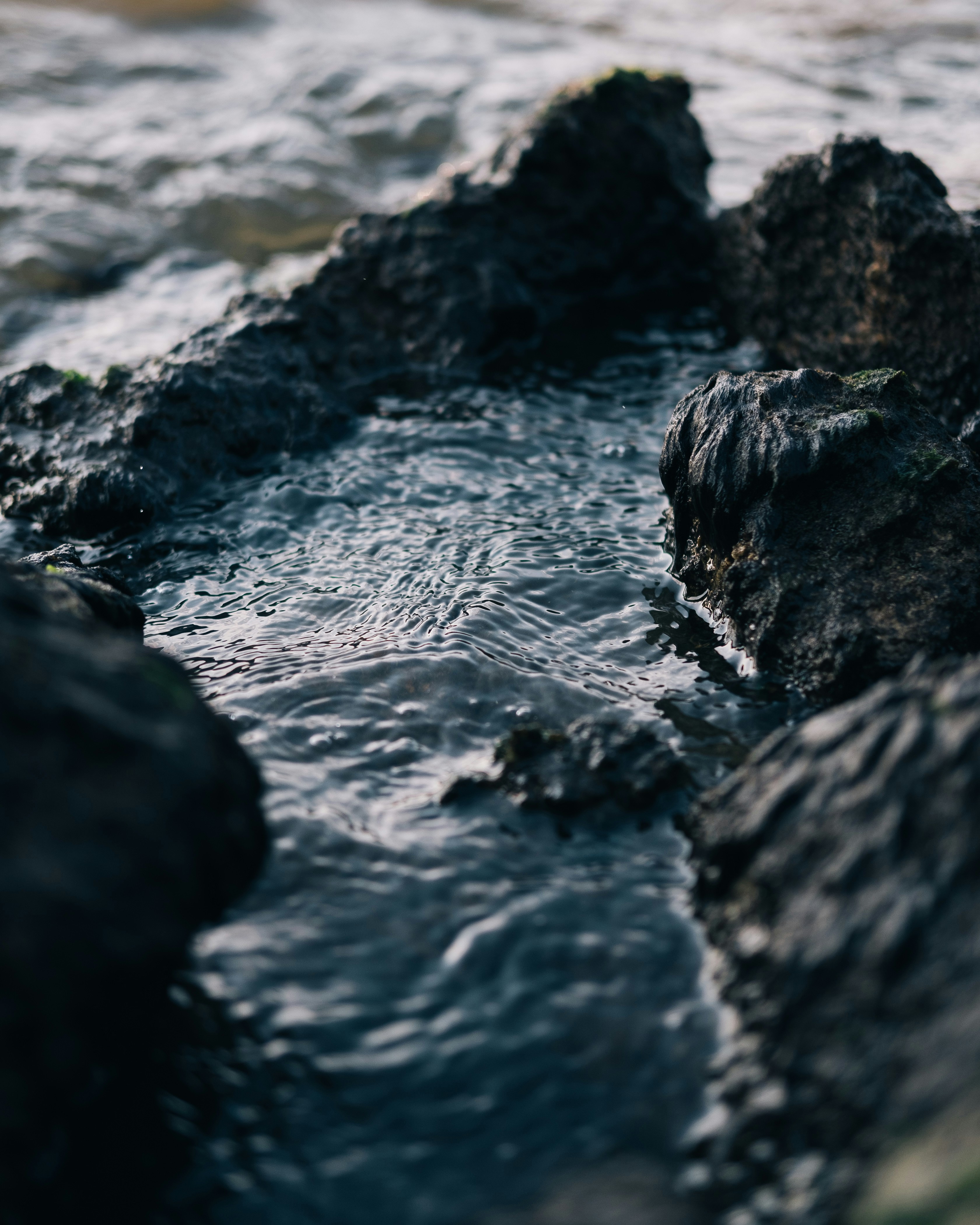 Photo by itsmattgates