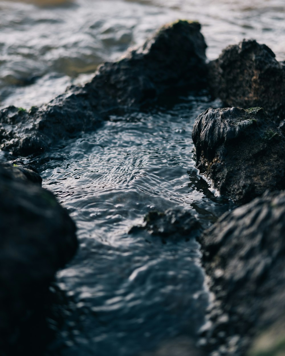 a close up of rocks in a body of water