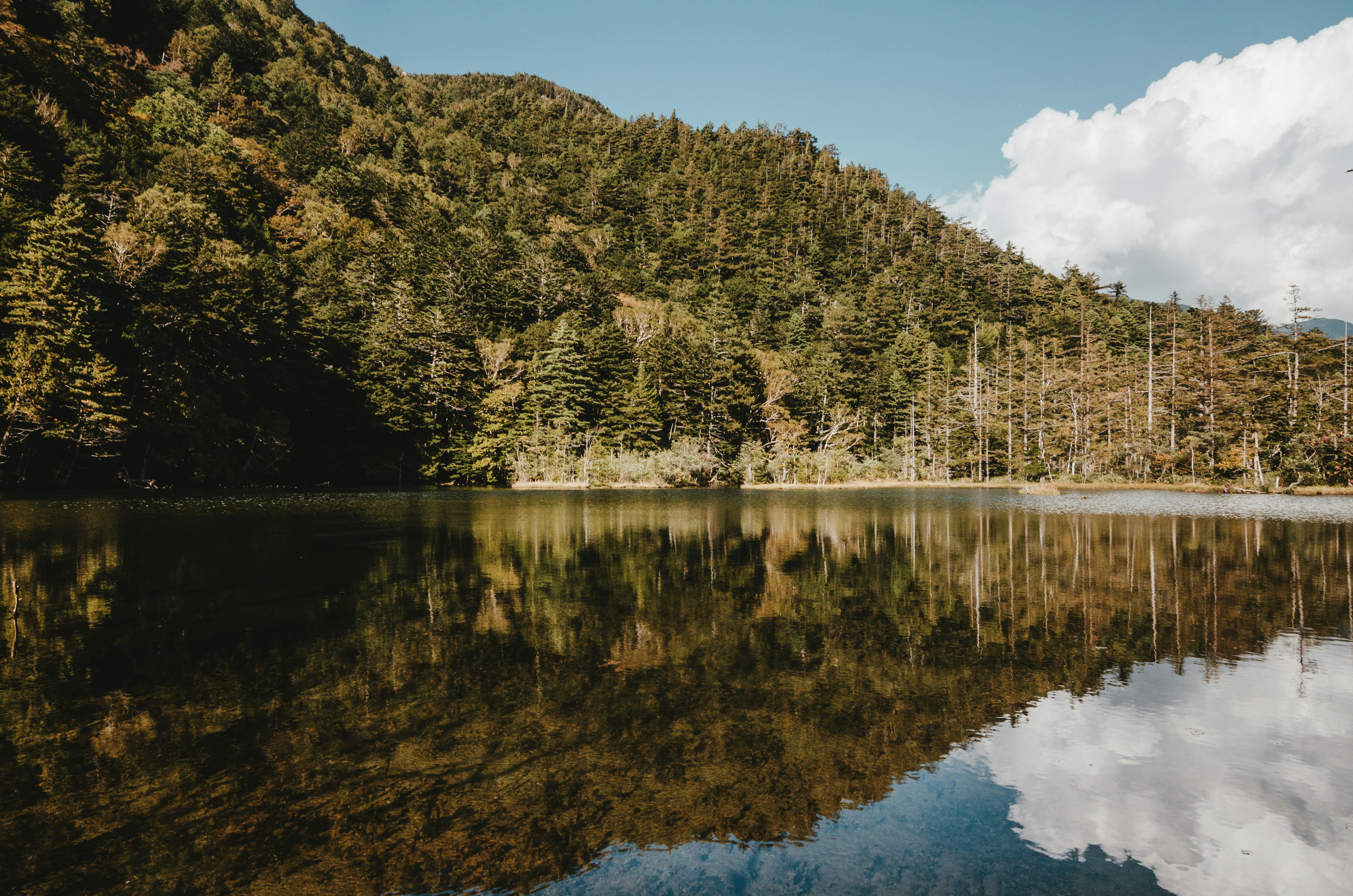 Photo by claire_0912