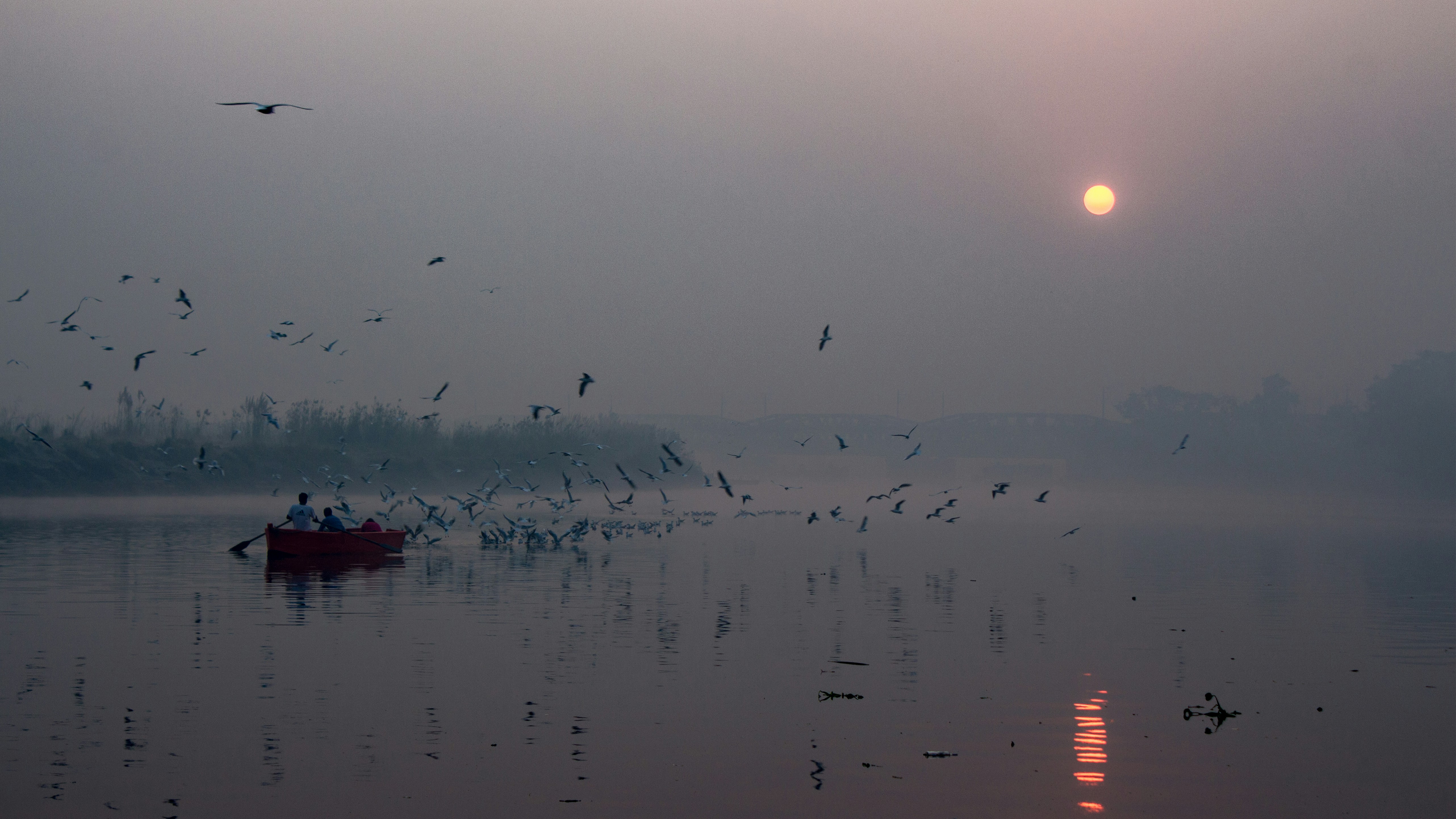 Photo by yogendras31