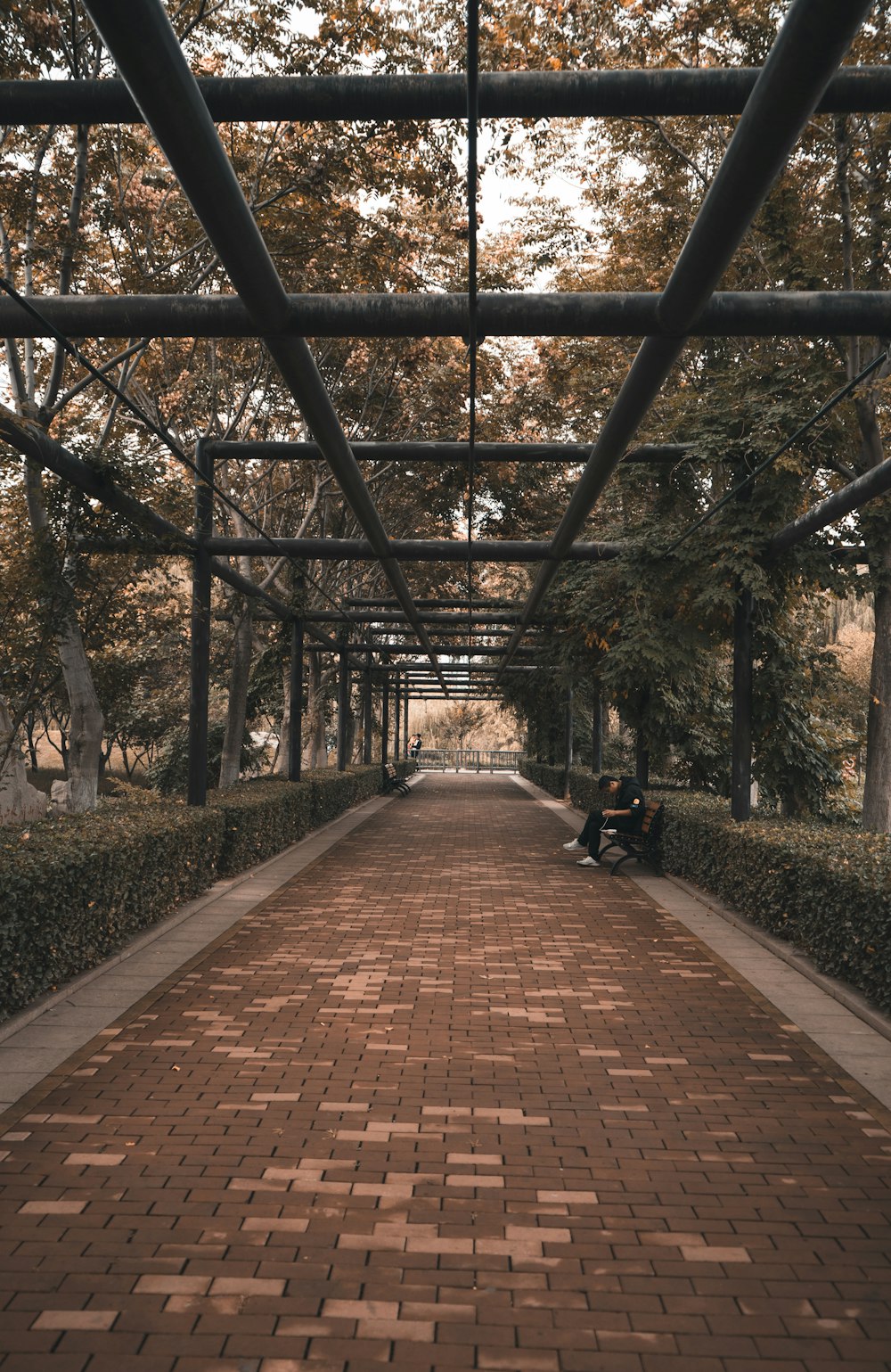 a person sitting on a bench under a canopy