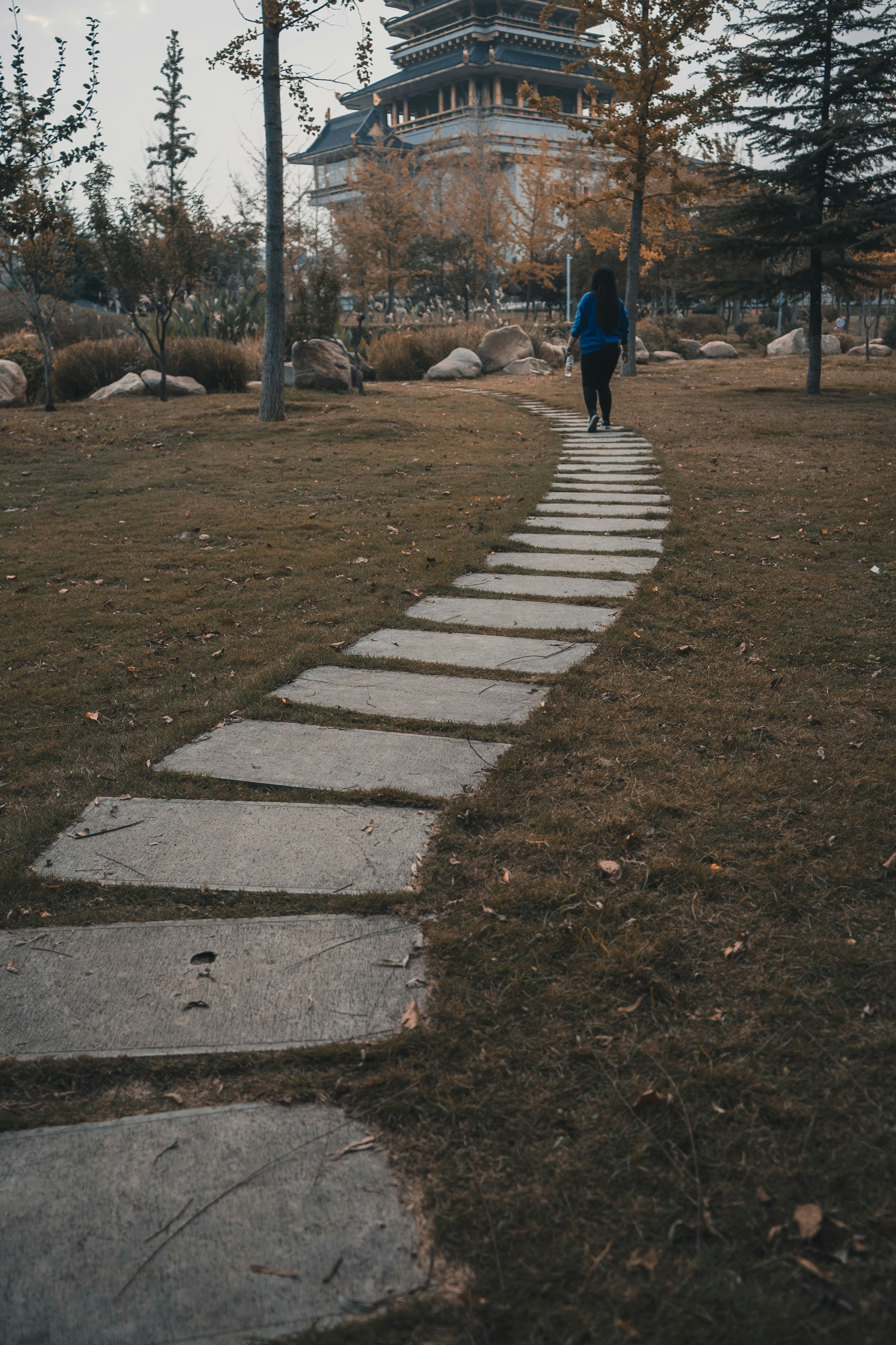 How Do I Deal with Nervousness or Anxiety when Taking the First Steps in Pursuing Someone I Like?