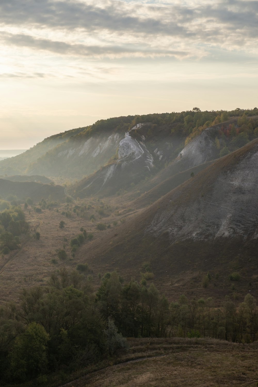 a view of a mountain range with trees in the foreground