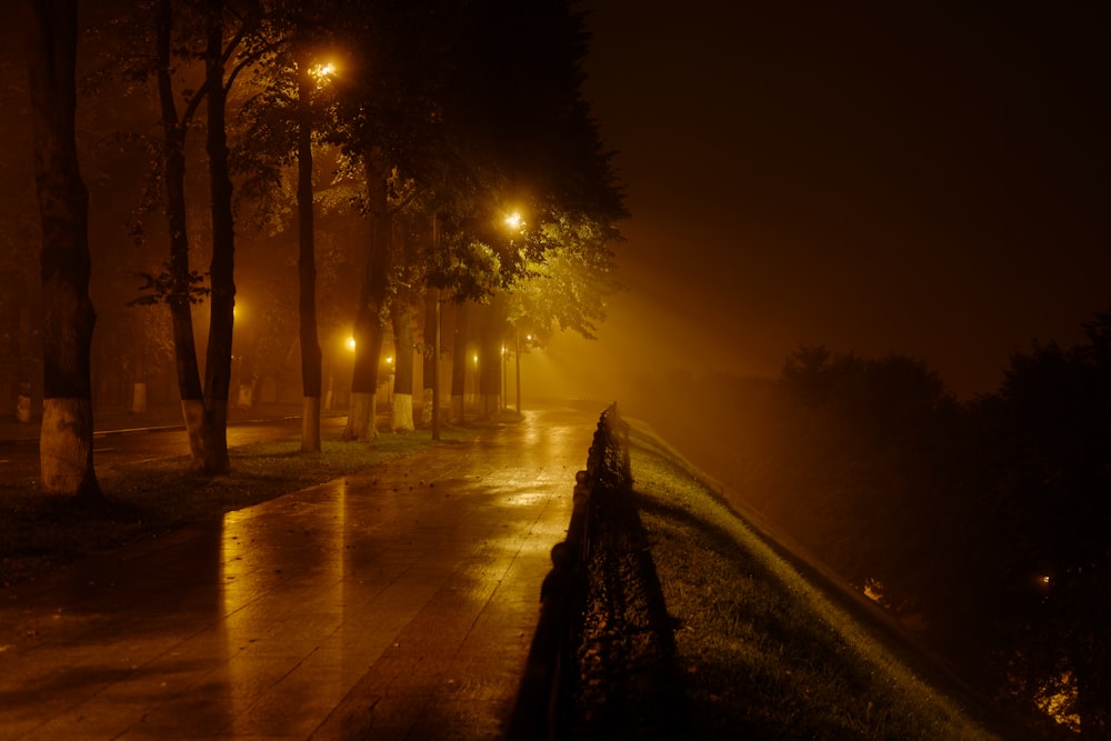a foggy night in a park with a bench and street lights