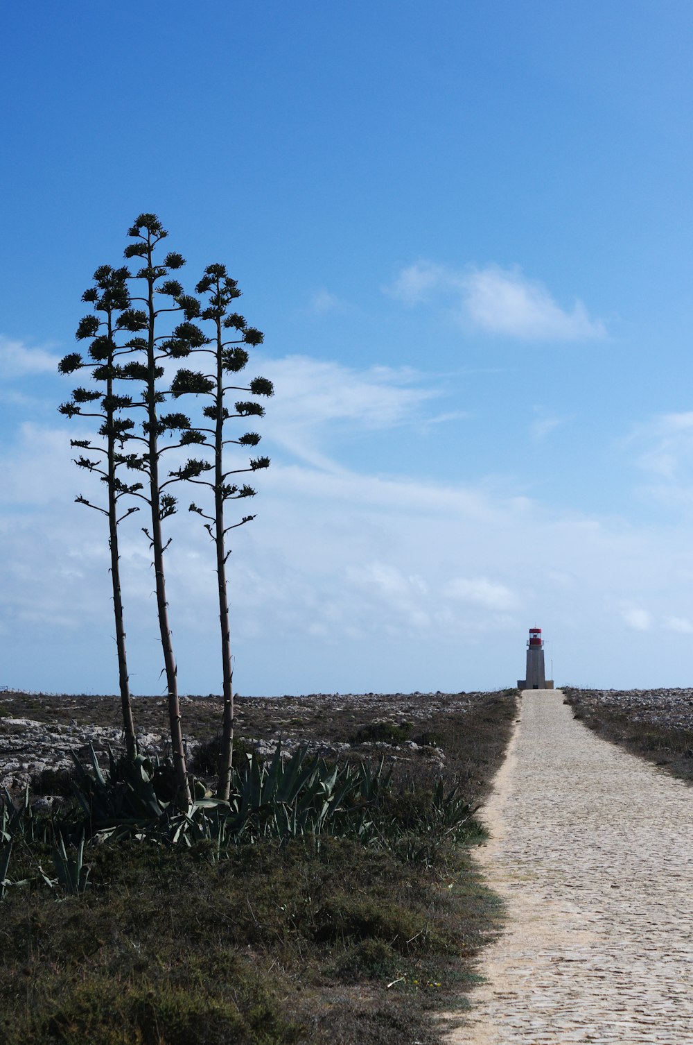 a path leading to a lighthouse on a clear day