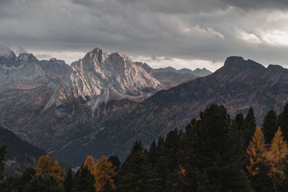 trees on mountains under grey sky