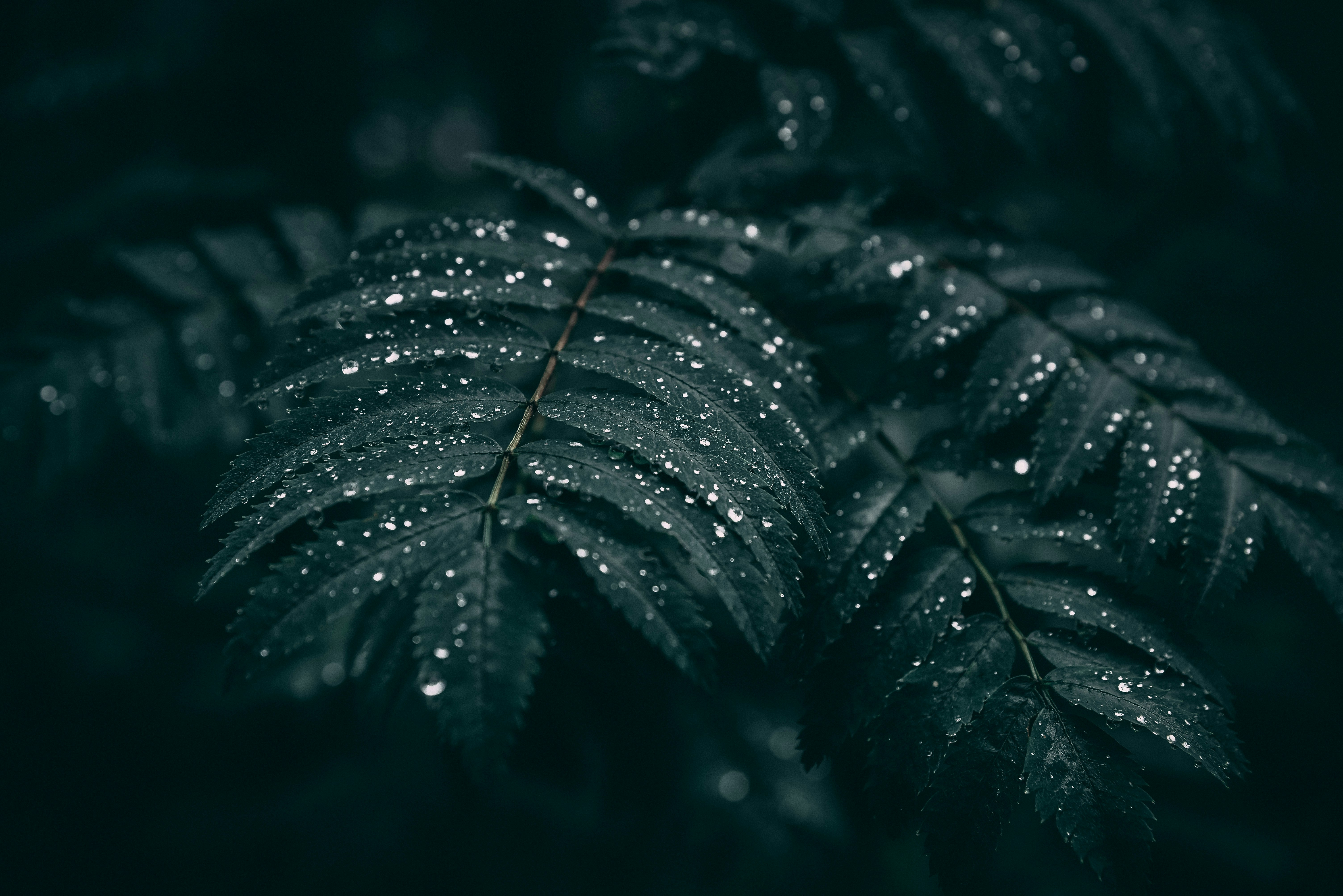 Photo by lore_schodts