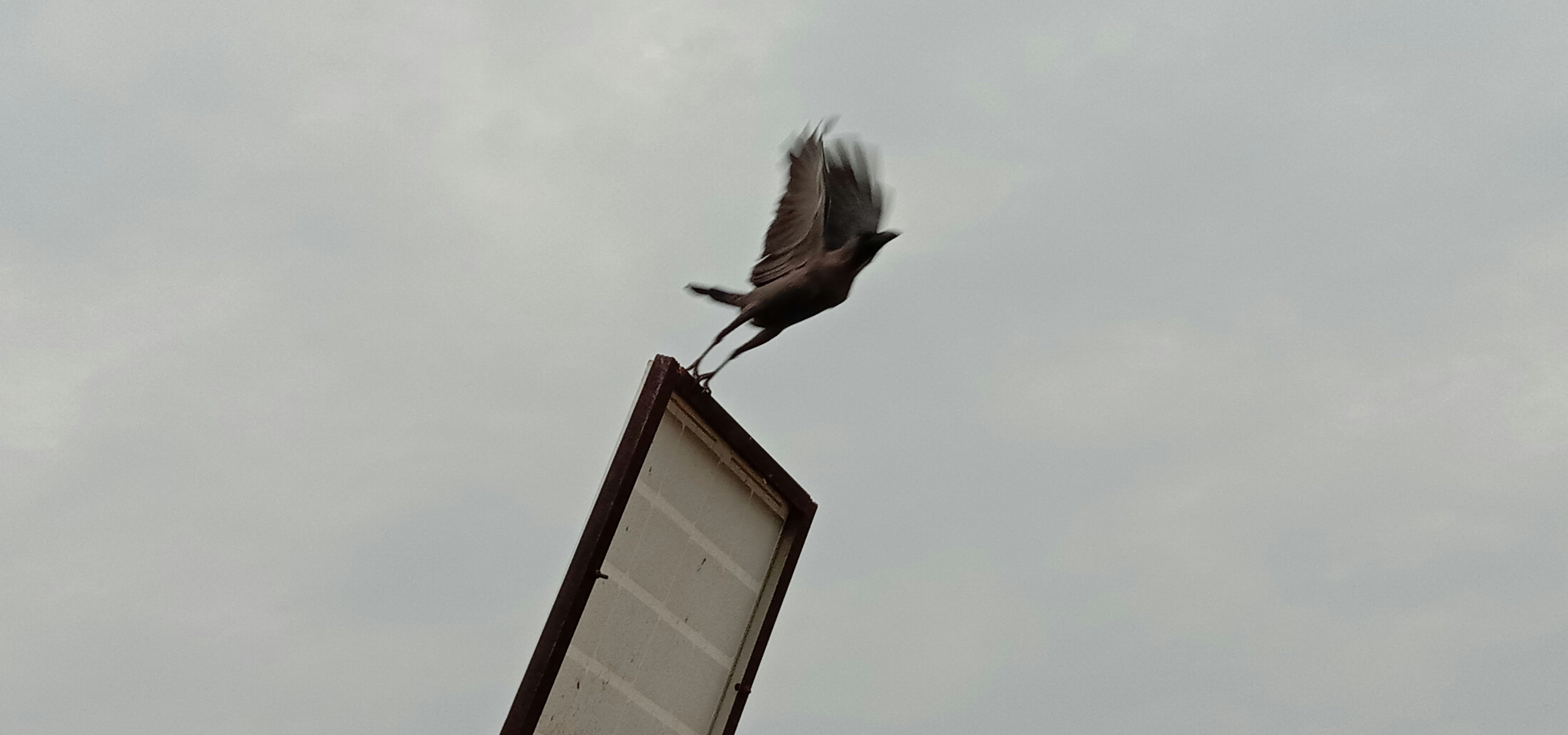 photo 1571848727370 662df7c6c40b?ixlib=rb 4.0