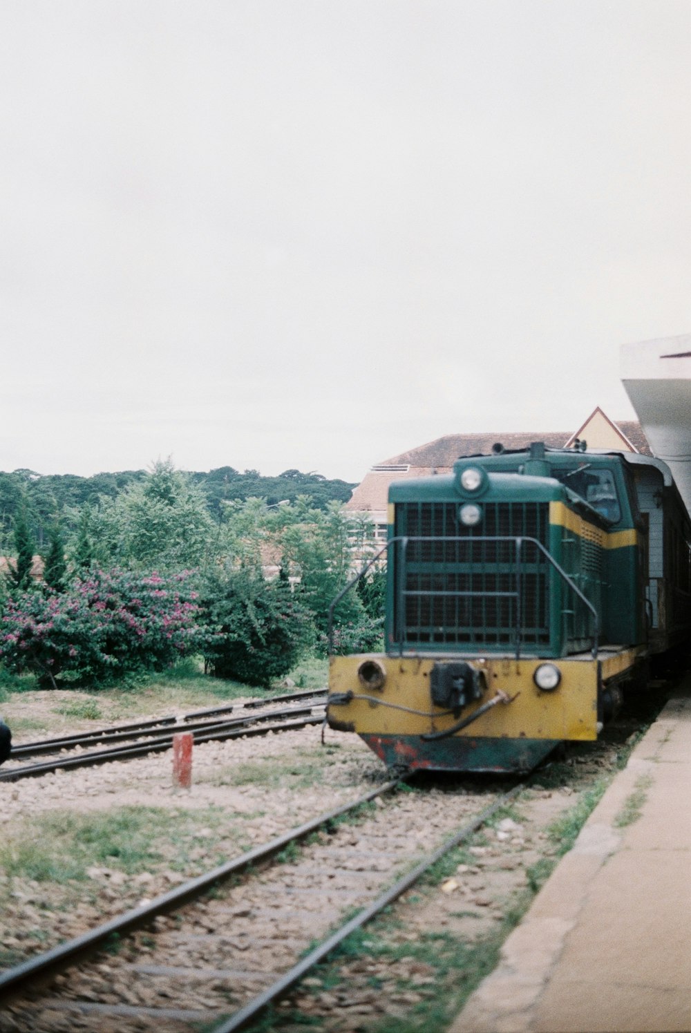 a green and yellow train pulling into a train station