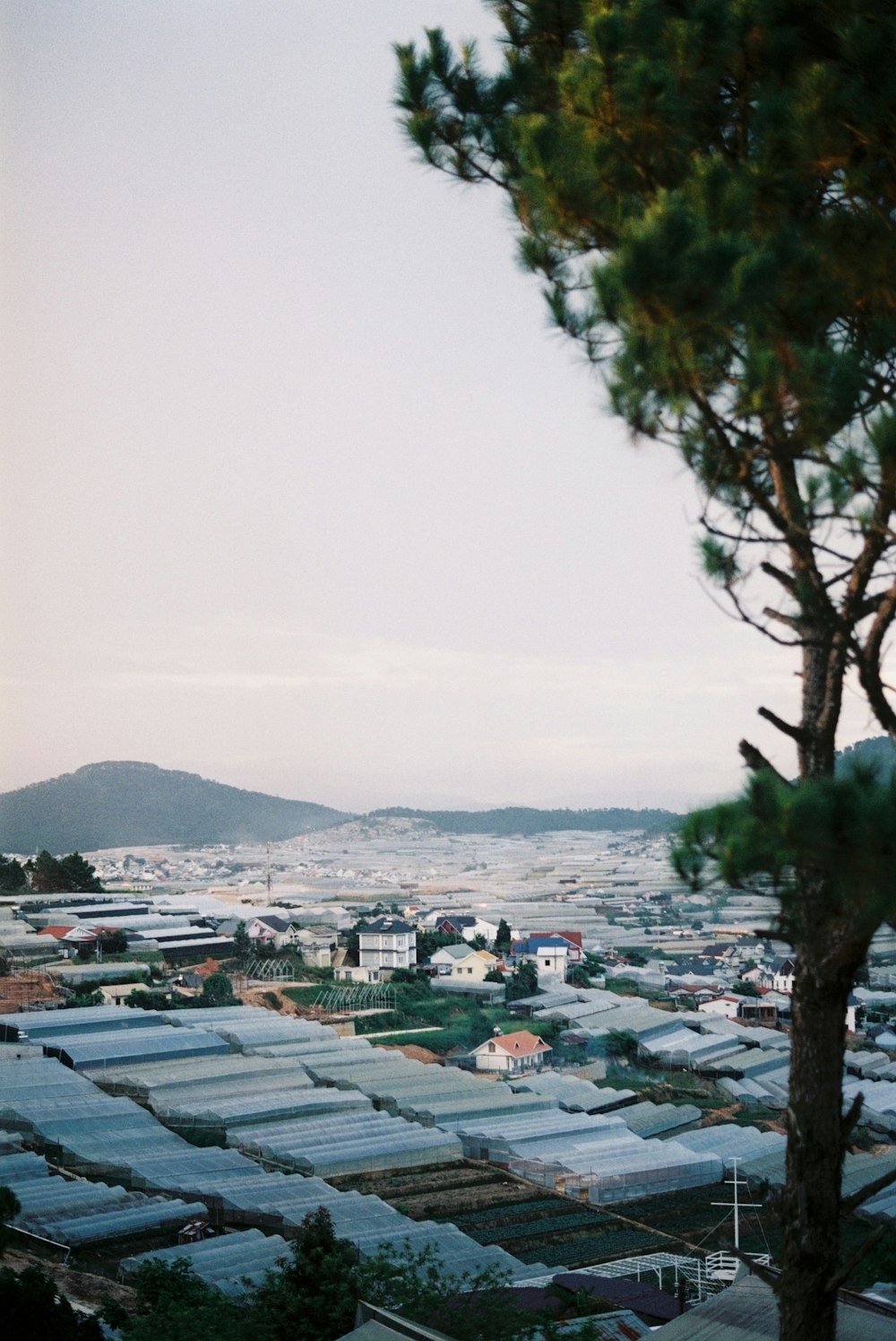 Una vista de una ciudad desde una colina