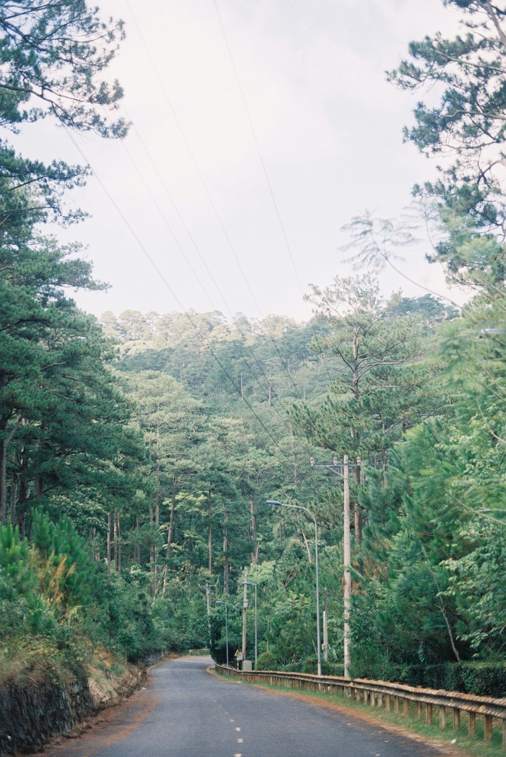 an empty road in the middle of a forest