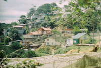 Best Co-Living Spaces for Digital Nomads in Dalat
