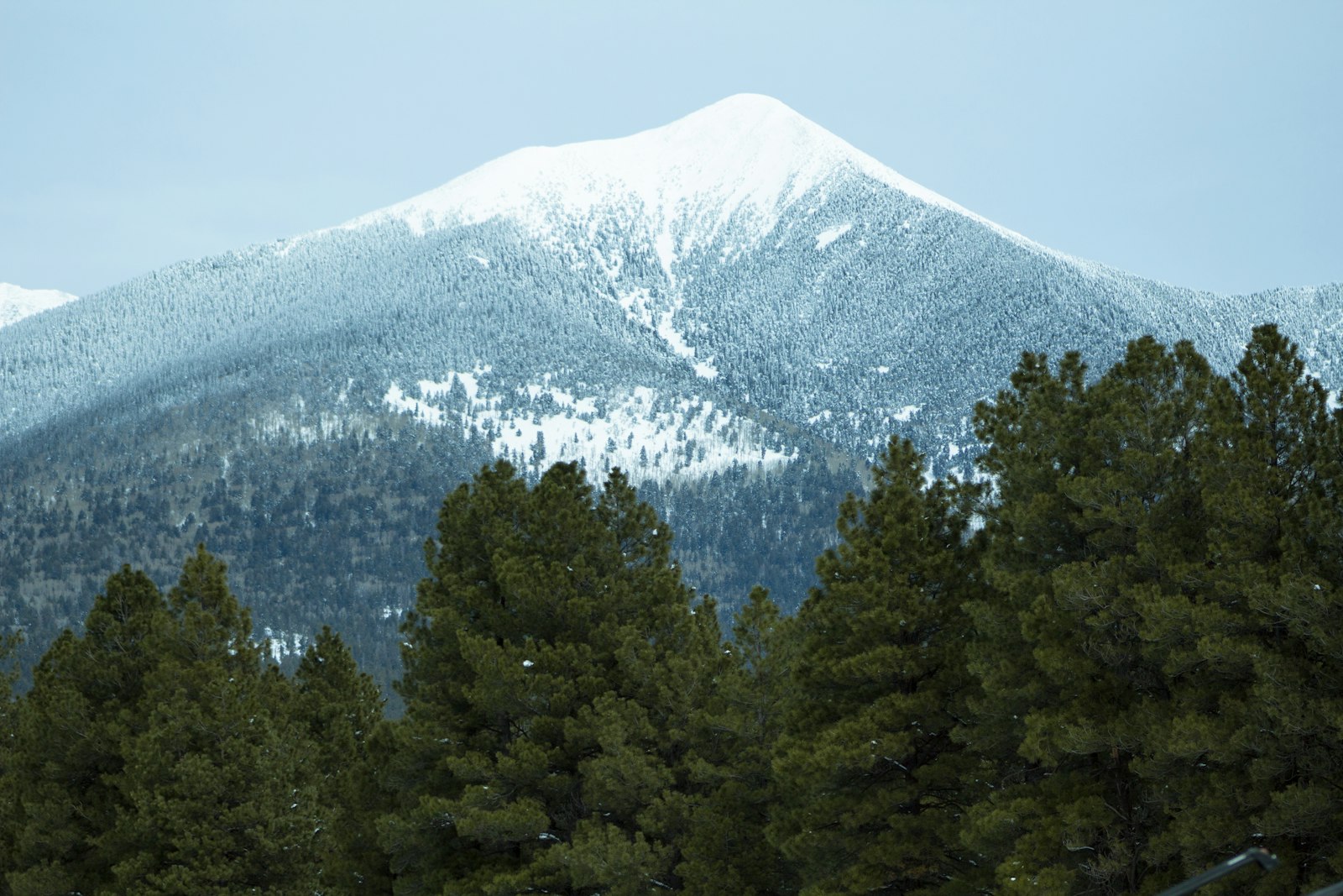 Snow-capped San Francisco Peaks rising above ponderosa pine forest near Flagstaff, Arizona
