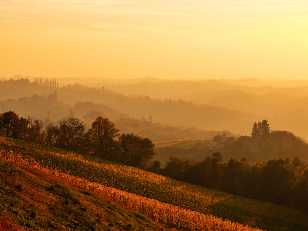 aerial photography of mountain ridge during golden hour