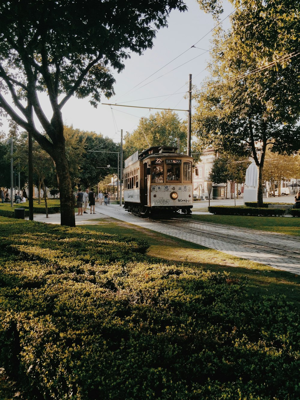 brown and white tram