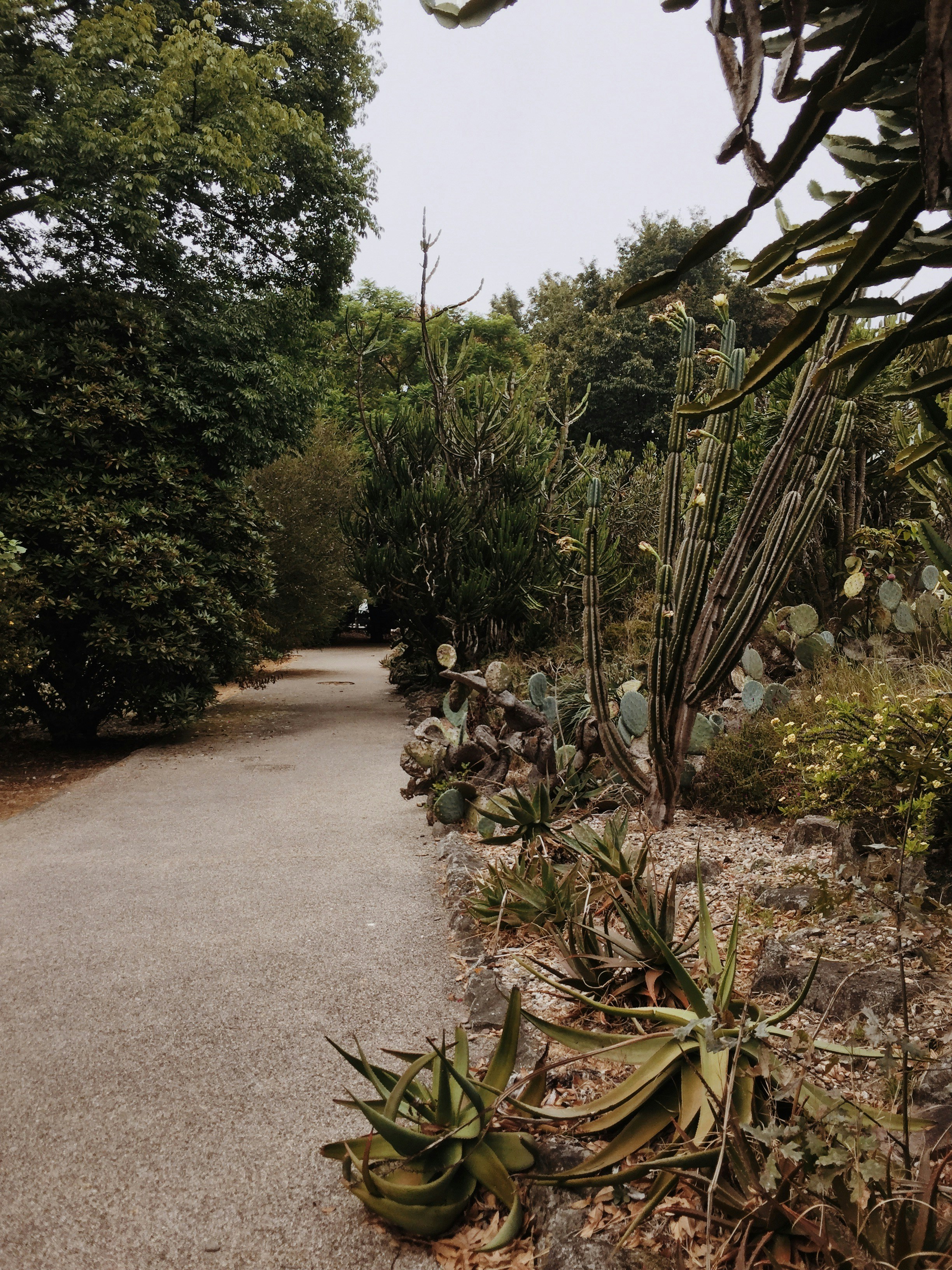 Photo by weronikajanas