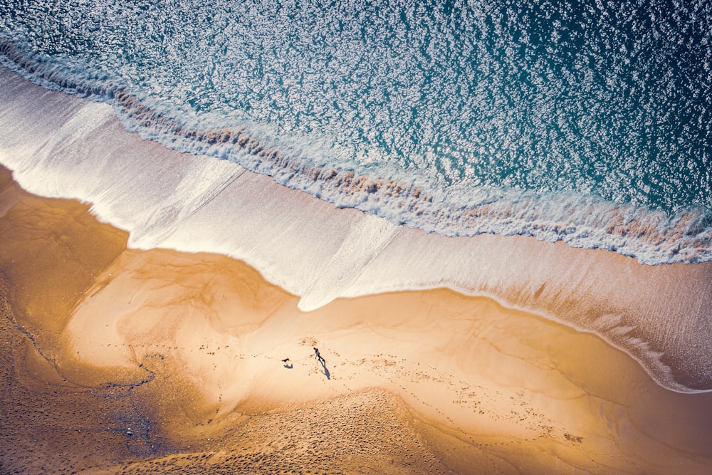 high-angle photo of seashore