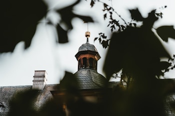 A rooftop with a small wooden cupola topped by a decorative finial. The roof is made of dark shingles and surrounded by blurred silhouettes of tree branches and leaves.