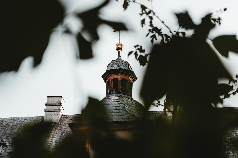 foto de foco raso do edifício preto e marrom